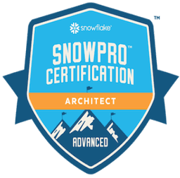 Technology certification badge 12